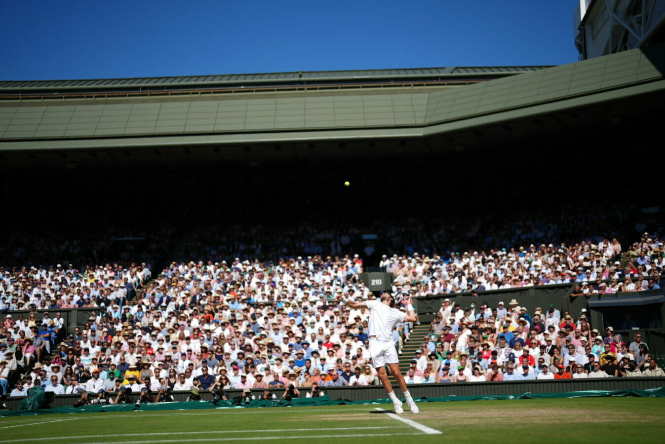 cameron norrie